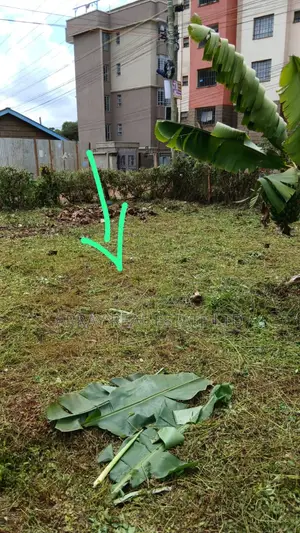 50×100 Plot for Sale in Muthiga, Kikuyu