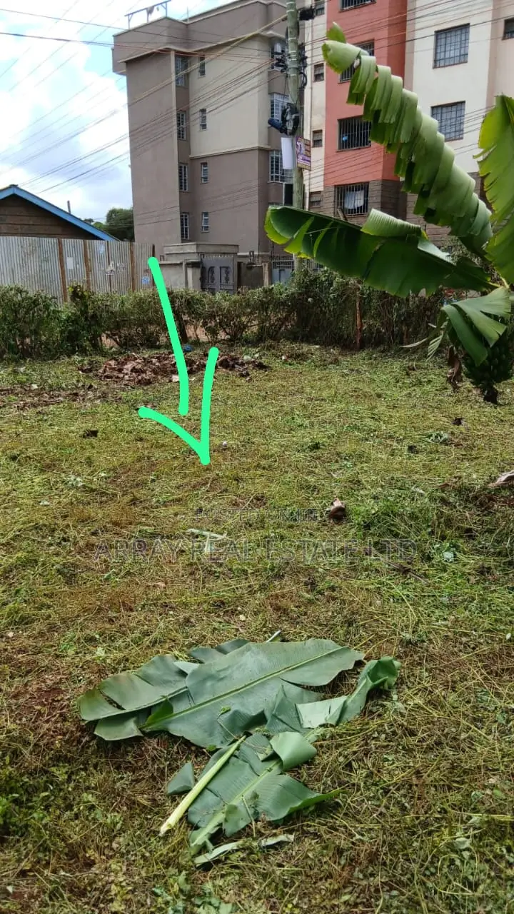 50×100 Plot for Sale in Muthiga, Kikuyu