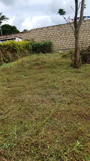 50×100 Plot for Sale in Muthiga, Kikuyu