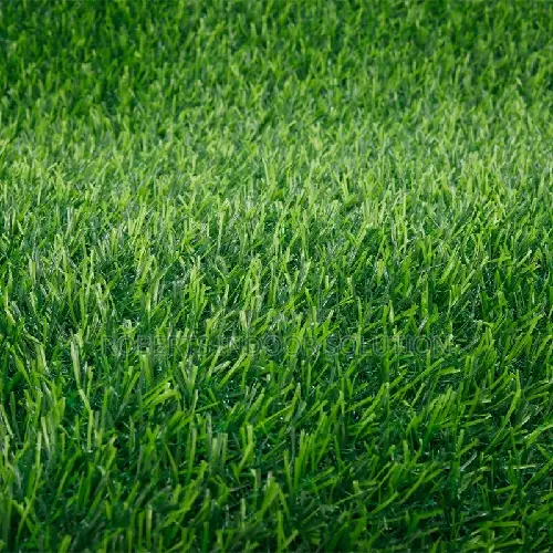 Aesthetic Grass Carpet for Office & Events