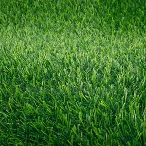 Aesthetic Grass Carpet for Office & Events