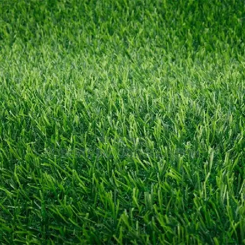 Aesthetic Grass Carpet for Office & Events
