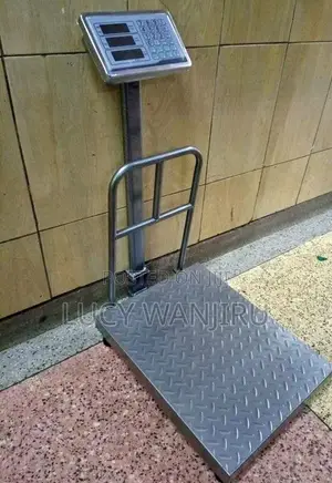 Digital Platform Weighing Scale 300kg/ Weighing Scale Machine