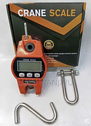 Crane Weighing Scale 300kgs > Accurate