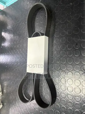 Fan Belt 8PK1702