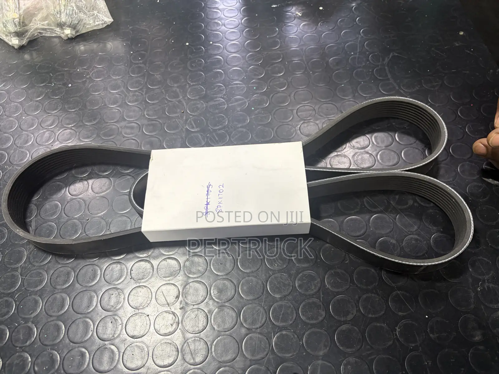 Fan Belt 8PK1702