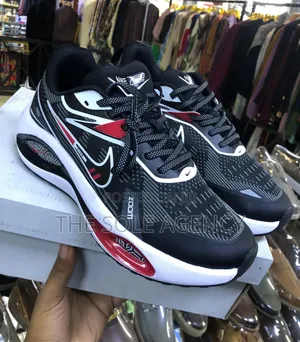 Nike Zoom Winflo V2
