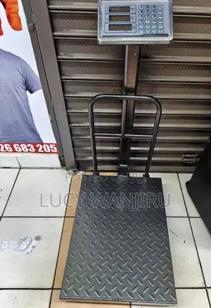 Weighing Scale Platform With Guard / 300kgs Weighing Scale Digital