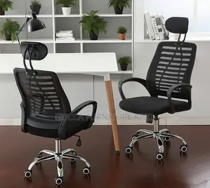 Headrest Adjustable Mesh Working Desk Chair