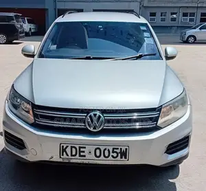 Volkswagen Tiguan 2015 Silver
