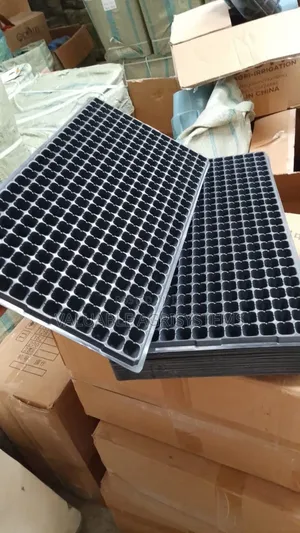 Seedling Trays