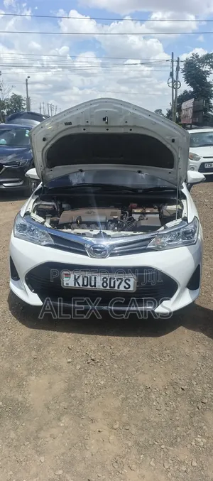 Toyota Corolla Fielder 2019 White