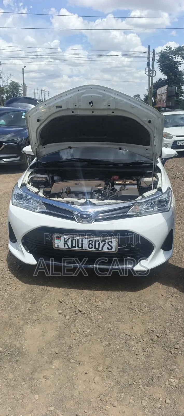 Toyota Corolla Fielder 2019 White