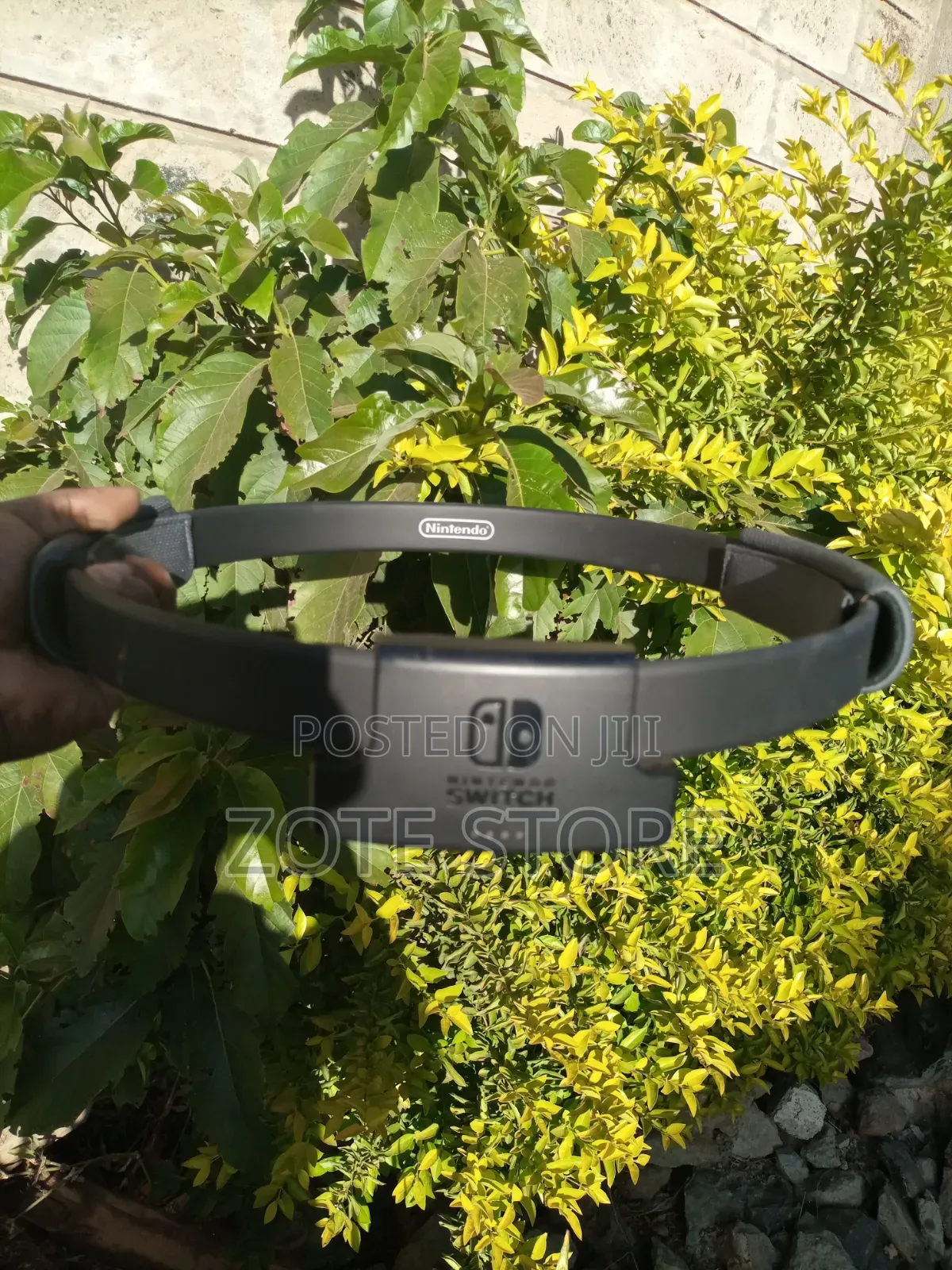 Nintendo Switch Ring