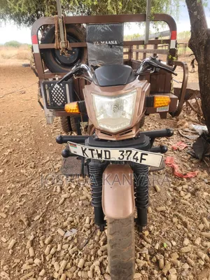 Motorcycle 2024 Brown