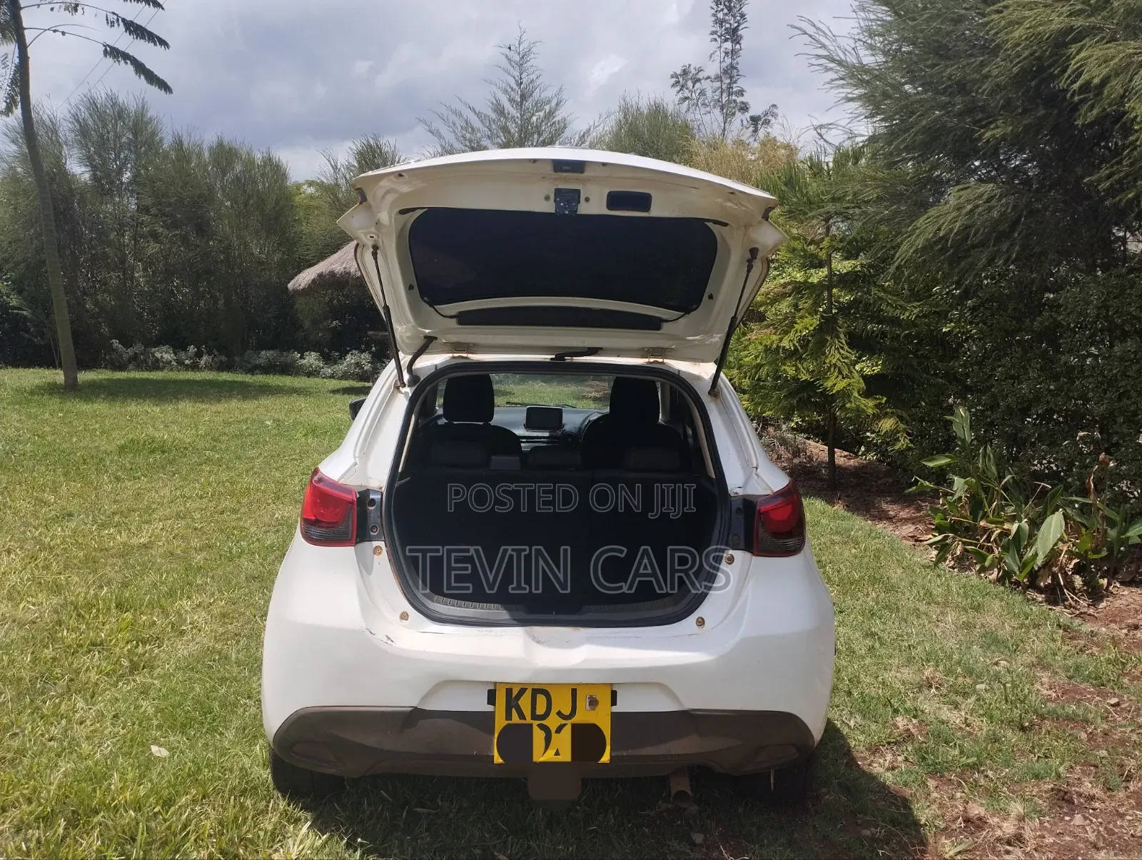 Mazda Demio 2015 Pearl