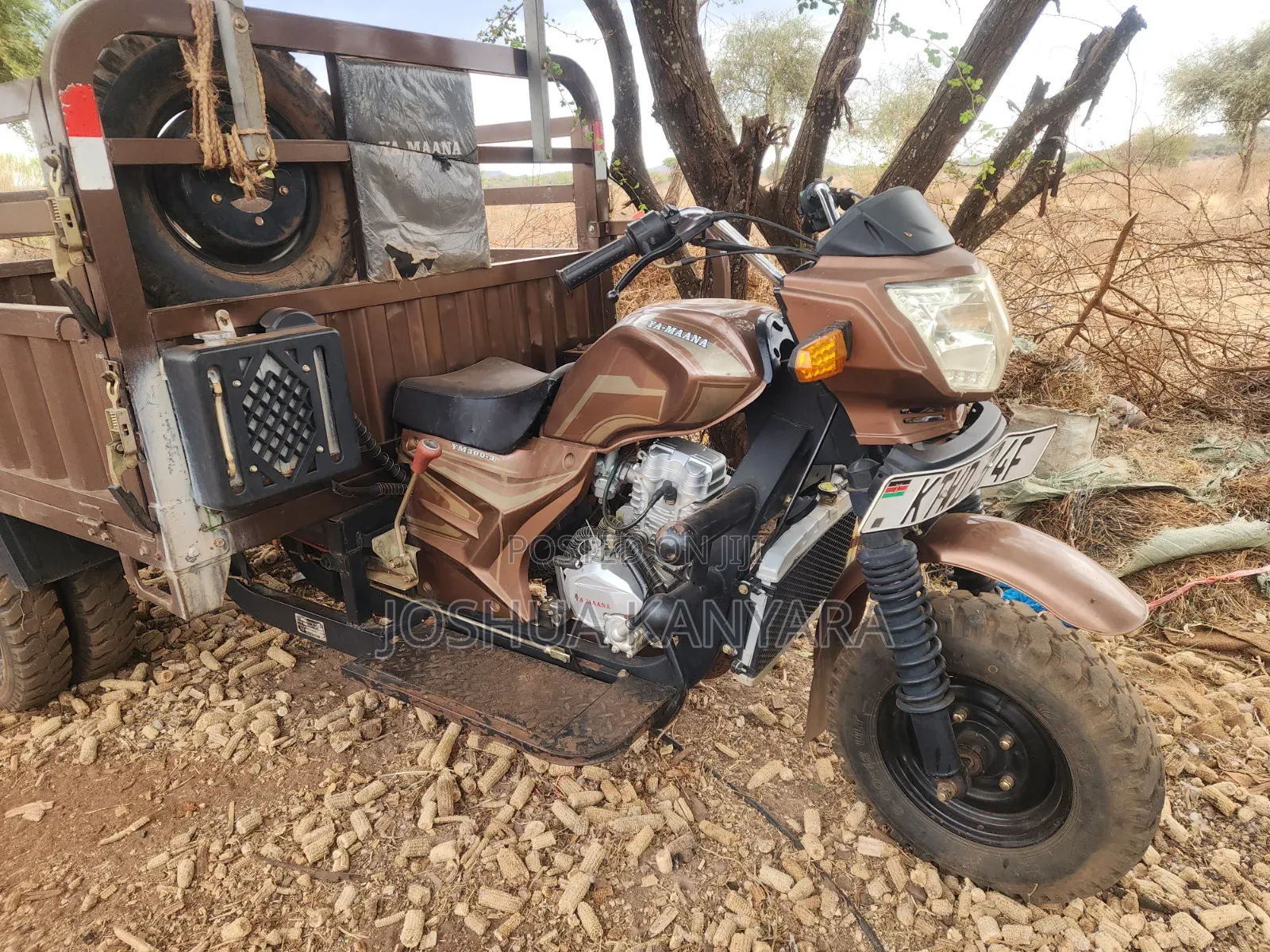 Motorcycle 2024 Brown