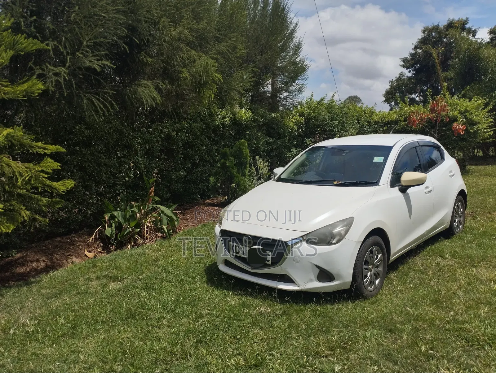 Mazda Demio 2015 Pearl