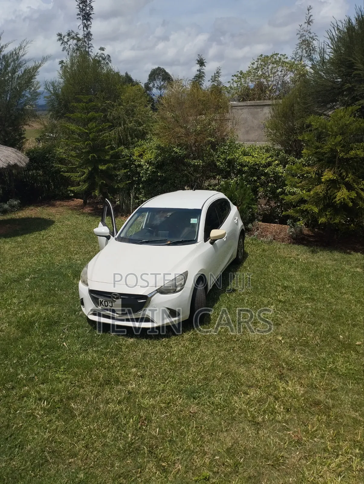 Mazda Demio 2015 Pearl