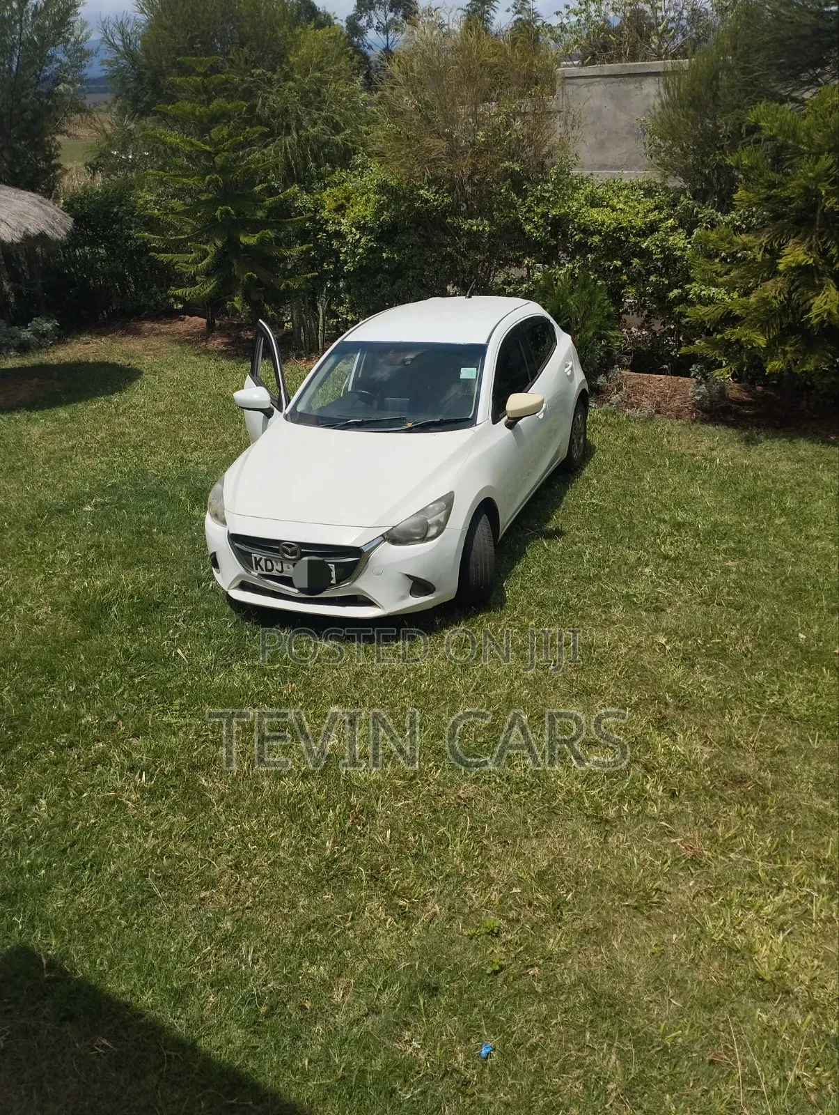 Mazda Demio 2015 Pearl