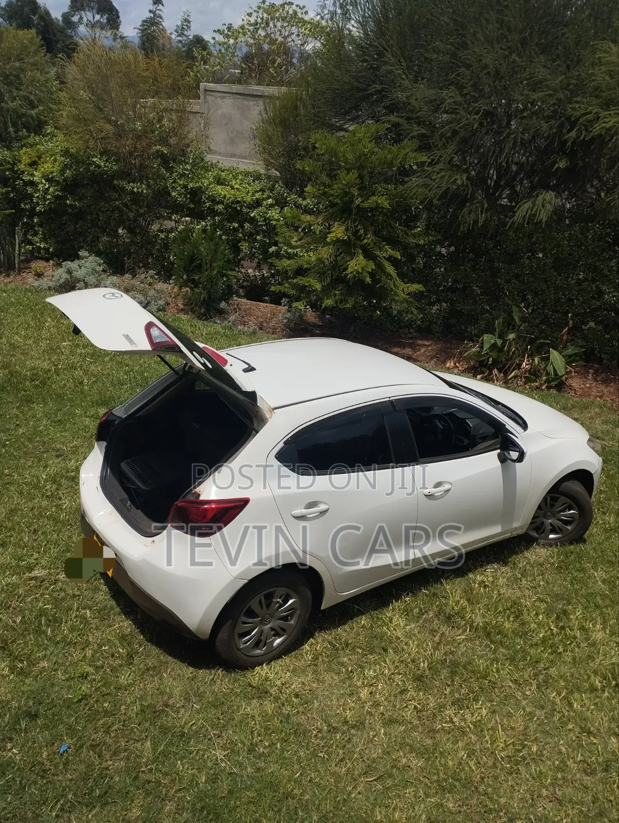 Mazda Demio 2015 Pearl