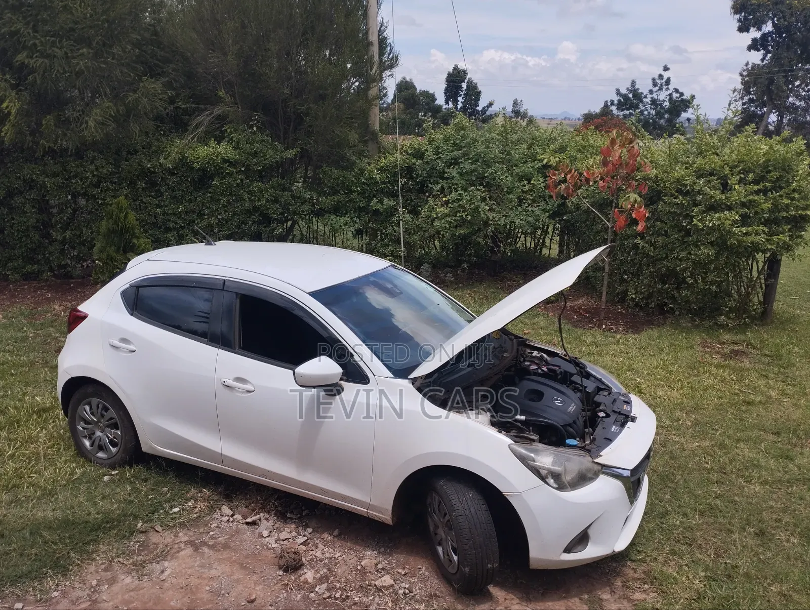 Mazda Demio 2015 Pearl