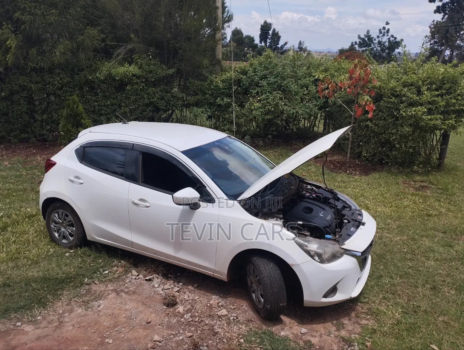 Mazda Demio 2015 Pearl