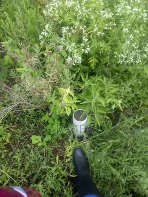 Prime Plot on Urgent Sale
