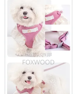 Pet Vest Harnesses and Matching Leashes
