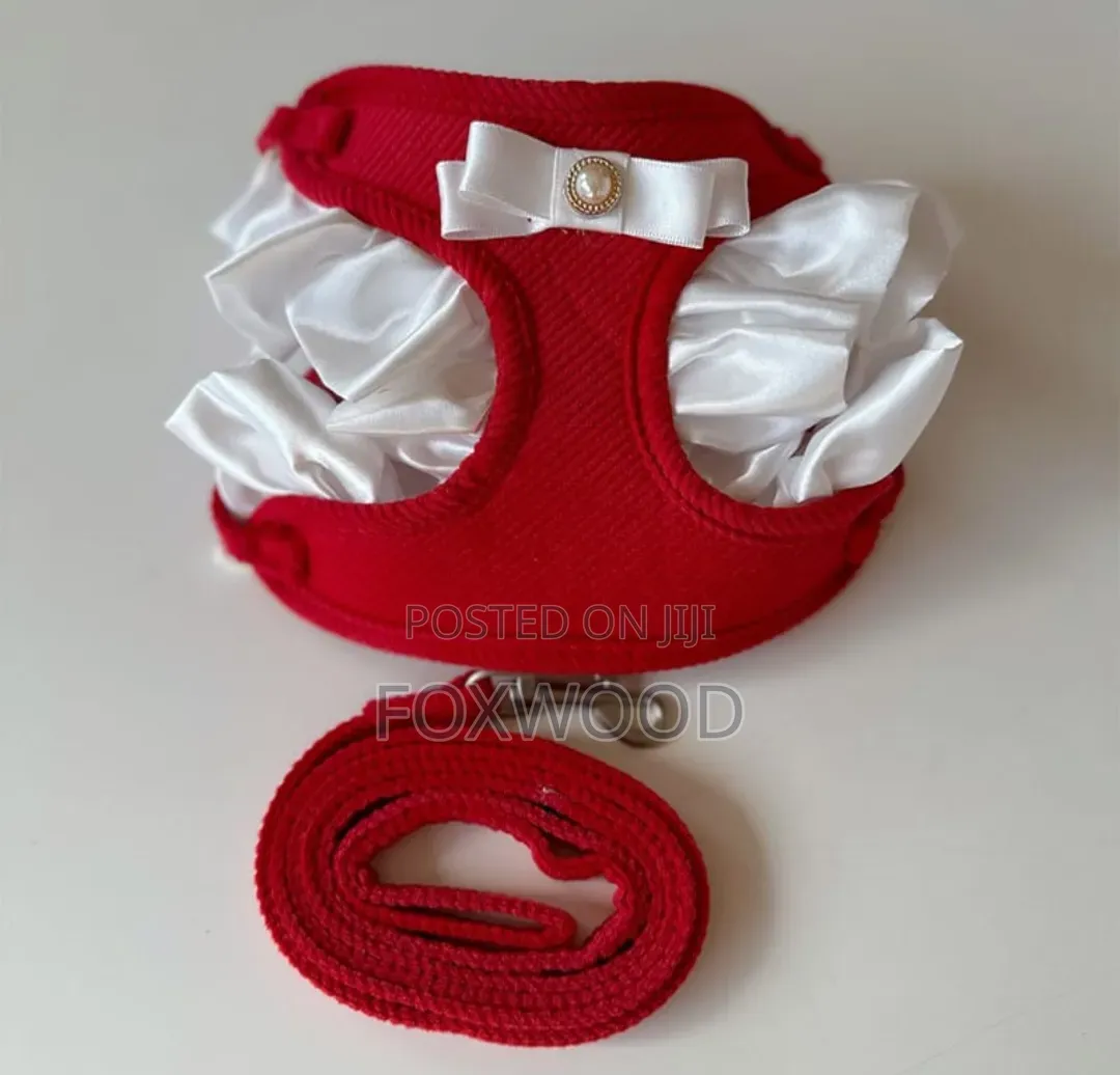 Pet Vest Harnesses and Matching Leashes