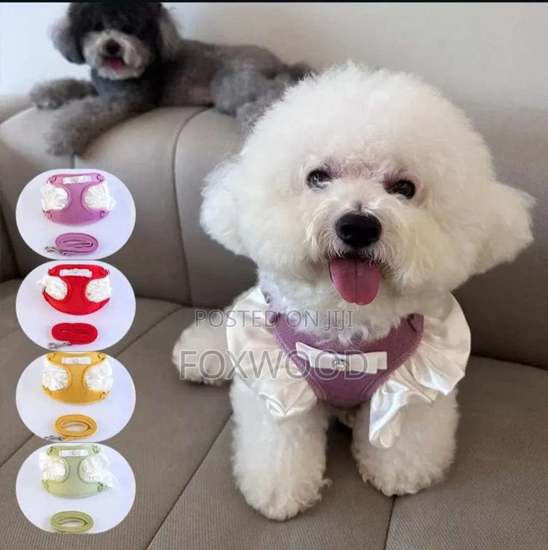 Pet Vest Harnesses and Matching Leashes