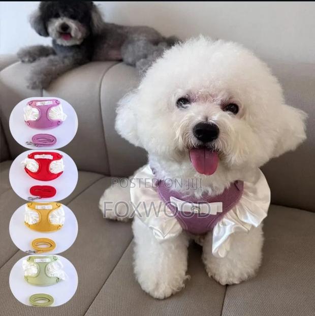 Pet Vest Harnesses and Matching Leashes - thumbnail 7