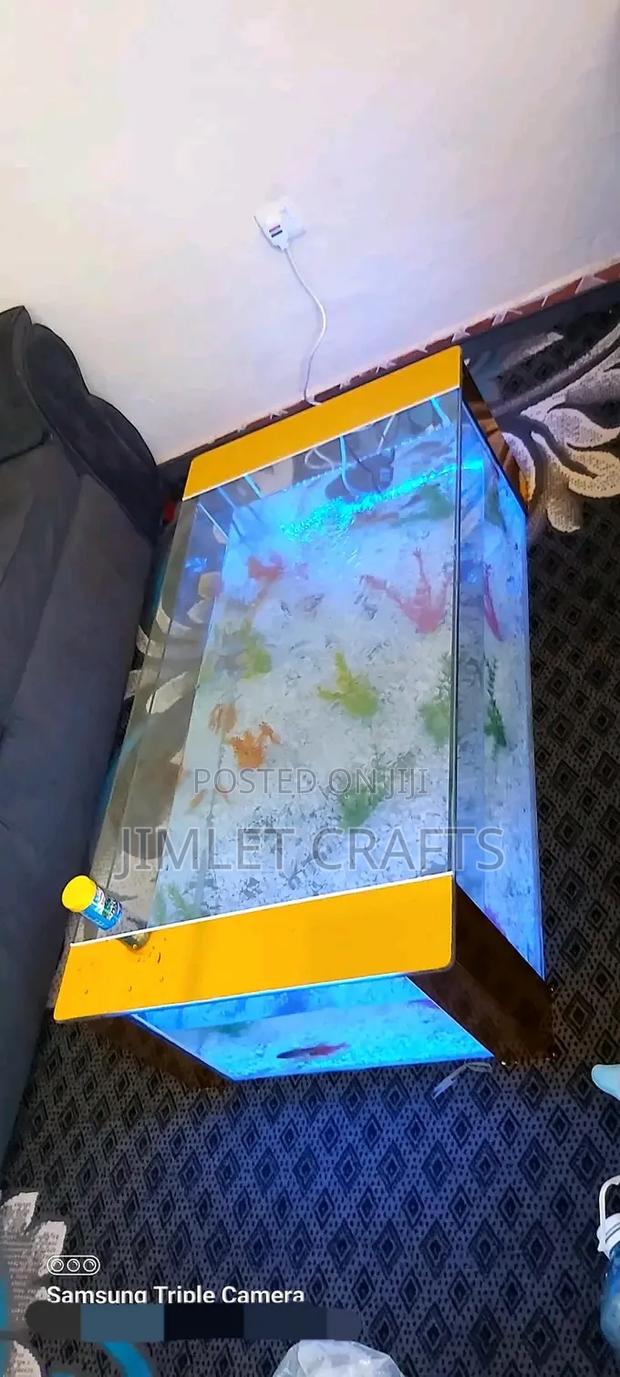 Coffee Table Aquarium