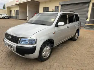 Toyota Probox 2010 Silver