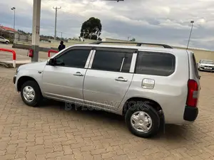 Toyota Probox 2010 Silver