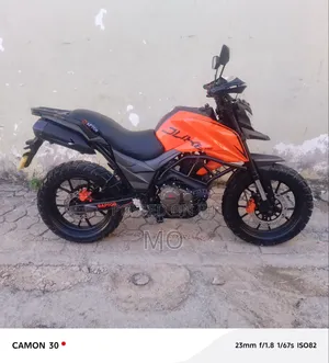 New Regal Raptor DY250 2026 Orange