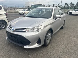 Toyota Axio 2019 Silver
