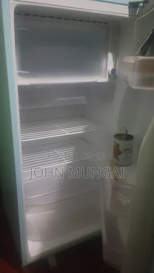 LG One Dot Fridge