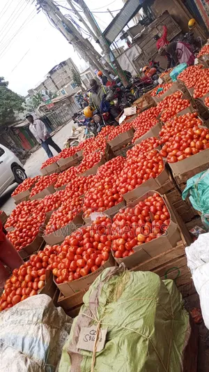 Tomato Full 110 Kg Crate