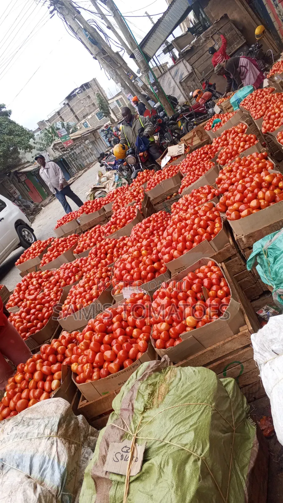 Tomato Full 110 Kg Crate