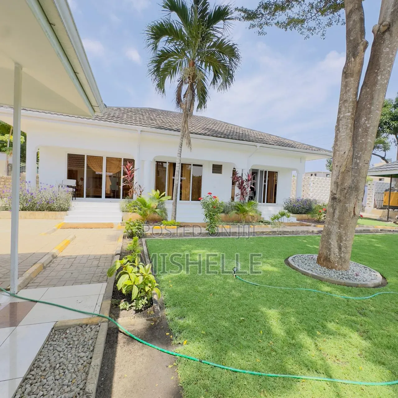 DIANI Studio 3k