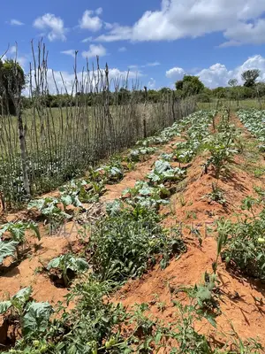 10 Acres for Sale in Majengo Ya Wakala