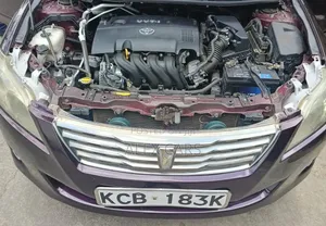 Toyota Premio 2008 Gray