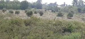 Lovely 6 Acre Land in Kiserian