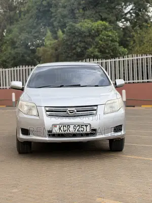 Toyota Axio 2011 Silver