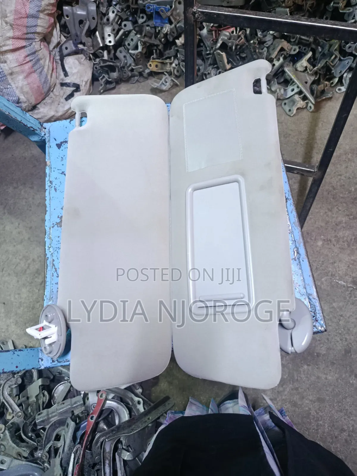 Sun Visor Vanguard