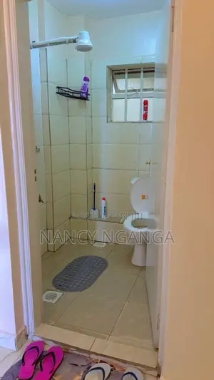 Sky Homes Thika Road Airbnb
