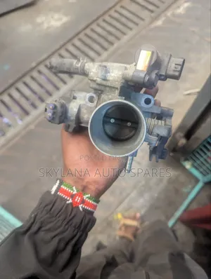 Throttle Body for Probox