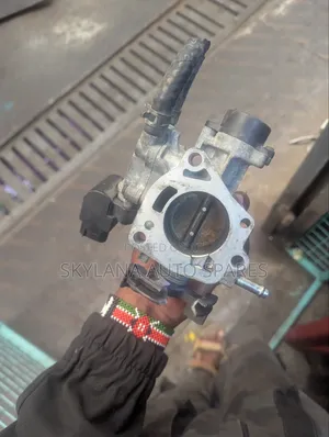 Throttle Body for Probox