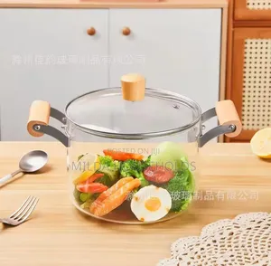 Borosilicate Cooking Pot